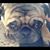 Molly Ann's profile image