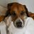 Valerie Skotcher's profile image
