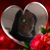 Melissa Burnett's profile image