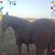 Judy Pfaff Watson's profile image