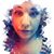 Vicky Solo's profile image
