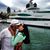 Ian Van Tuyl's profile image