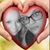 Candi Gomez's profile image