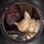 Curtis Kee's profile image