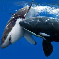 Gary Gwinn's profile image