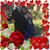 Selina DiNardi Gosnell's profile image
