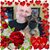 Alfonso E Roggiero's profile image