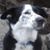 Keith Ayers's profile image