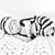 Shirley Twigg's profile image