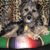 Bobbie Magee's profile image
