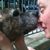 Lynne Silcox's profile image
