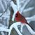 Carol A Driscoll's profile image
