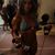 Courtney Murray's profile image