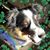 Stefanie Thompson's profile image