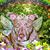 Mary Anne Lozak's profile image