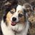 Susan LaChance's profile image