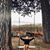 Autumn Smith's profile image
