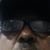 Alzer Zeru's profile image