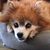 Patricia A. Wilcox's profile image