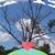 Dalyan Ahmet's profile image