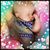 Lisa Tetrault Sonterre's profile image