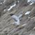 Joanne E Hesser's profile image