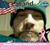 Dave Savitski's profile image