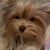 Deborah Marcum's profile image