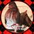 Bridgie Marie's profile image
