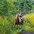 Tammy Asher Morse's profile image