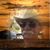 Lavon Prine's profile image