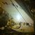 Susan Turner's profile image