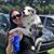 Brenda Lynn's profile image