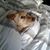 Tom Knowles's profile image