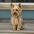 Diane Guptill's profile image
