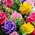 Linda Peery's profile image