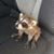 Oscar L Alvarez's profile image