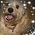 Carrie Miller's profile image