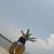 Fanny Lopez Ruvalcaba's profile image