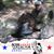 Adam D'andrea's profile image