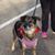 Sonia Rossi's profile image