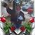 Nicole Niki Frantz's profile image