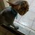 Benjamin Delong's profile image