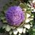 Catherine Leavitt's profile image