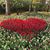 Joy Mander Antonucci's profile image