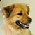 Marc Laurent's profile image
