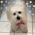 Carole Noe's profile image