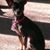Todd Berndt's profile image