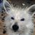 Montie Lyn Robison Liebsack's profile image