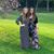 Alyssa Kambic's profile image